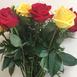 Meet your Posher, Diana